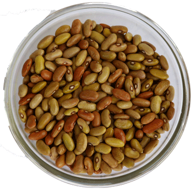 Mix Rajma